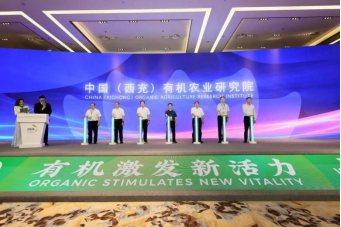 68ea0e2aadd71.png image.png