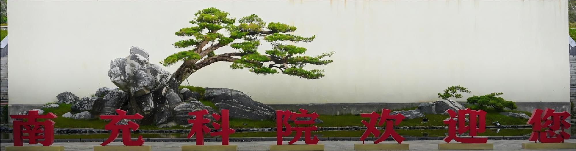 迎客松
